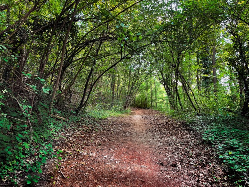 Max Schultze Steig Wandern Bei Regensburg Weltnaturliebe