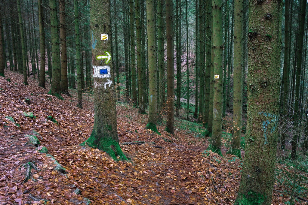 Wegweiser-durch-den-Wald-2-Hoelle-Rundweg-Rettenbach