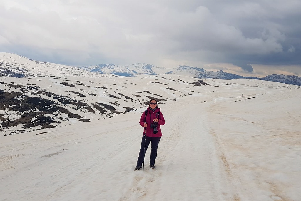 Wanderung zum Rittner Horn Gasteiger Sattel