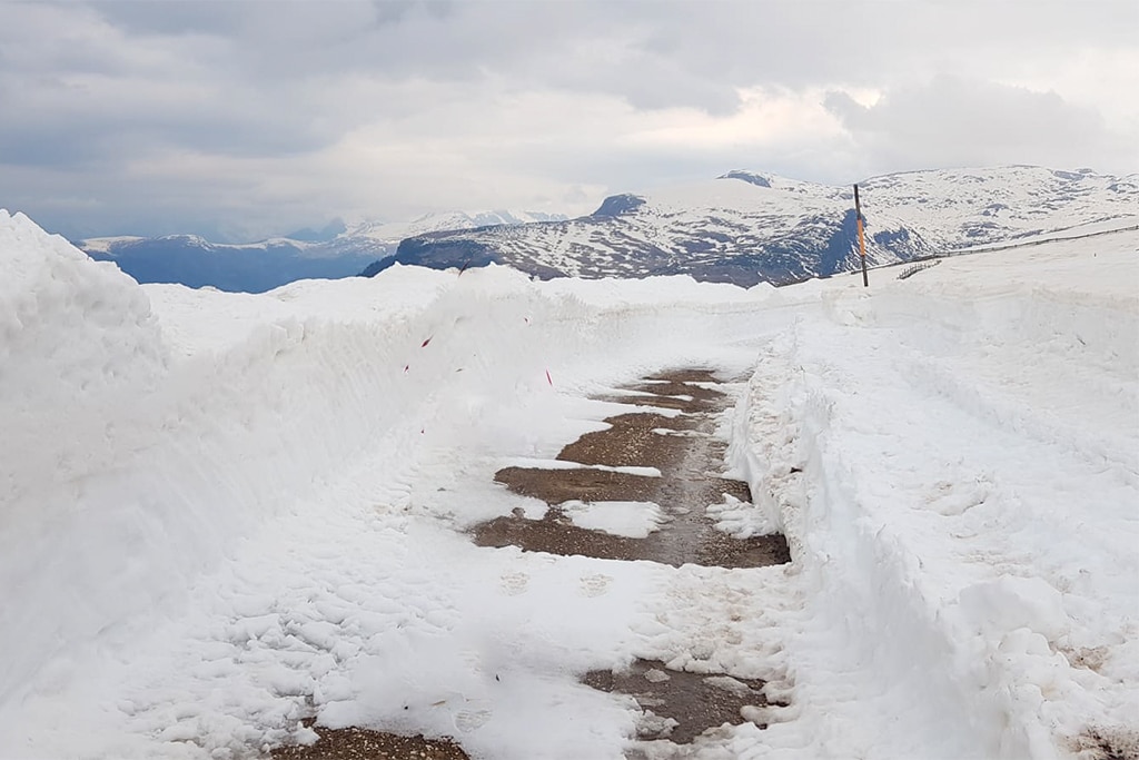 Tramis Wanderweg zum Rittner Horn